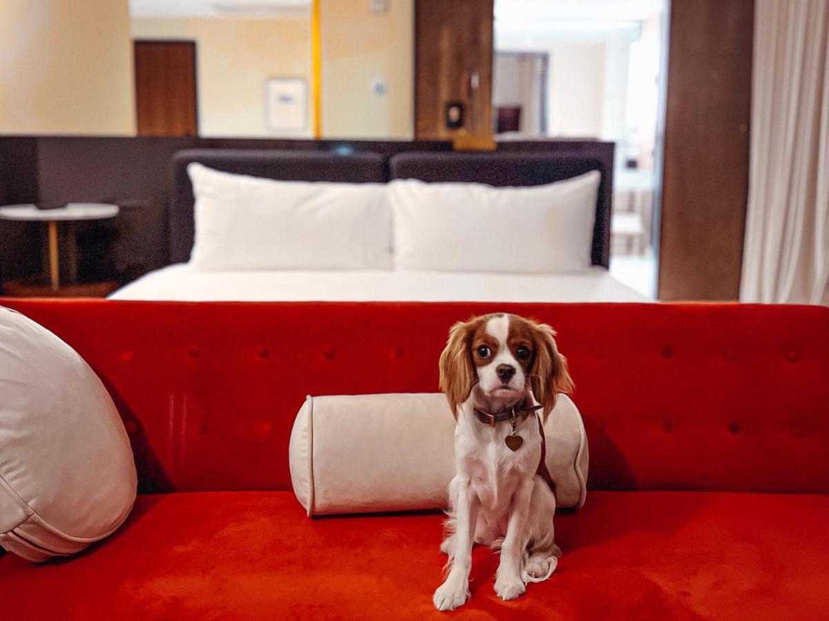 Hotel Haya Tampa Eksteriør billede